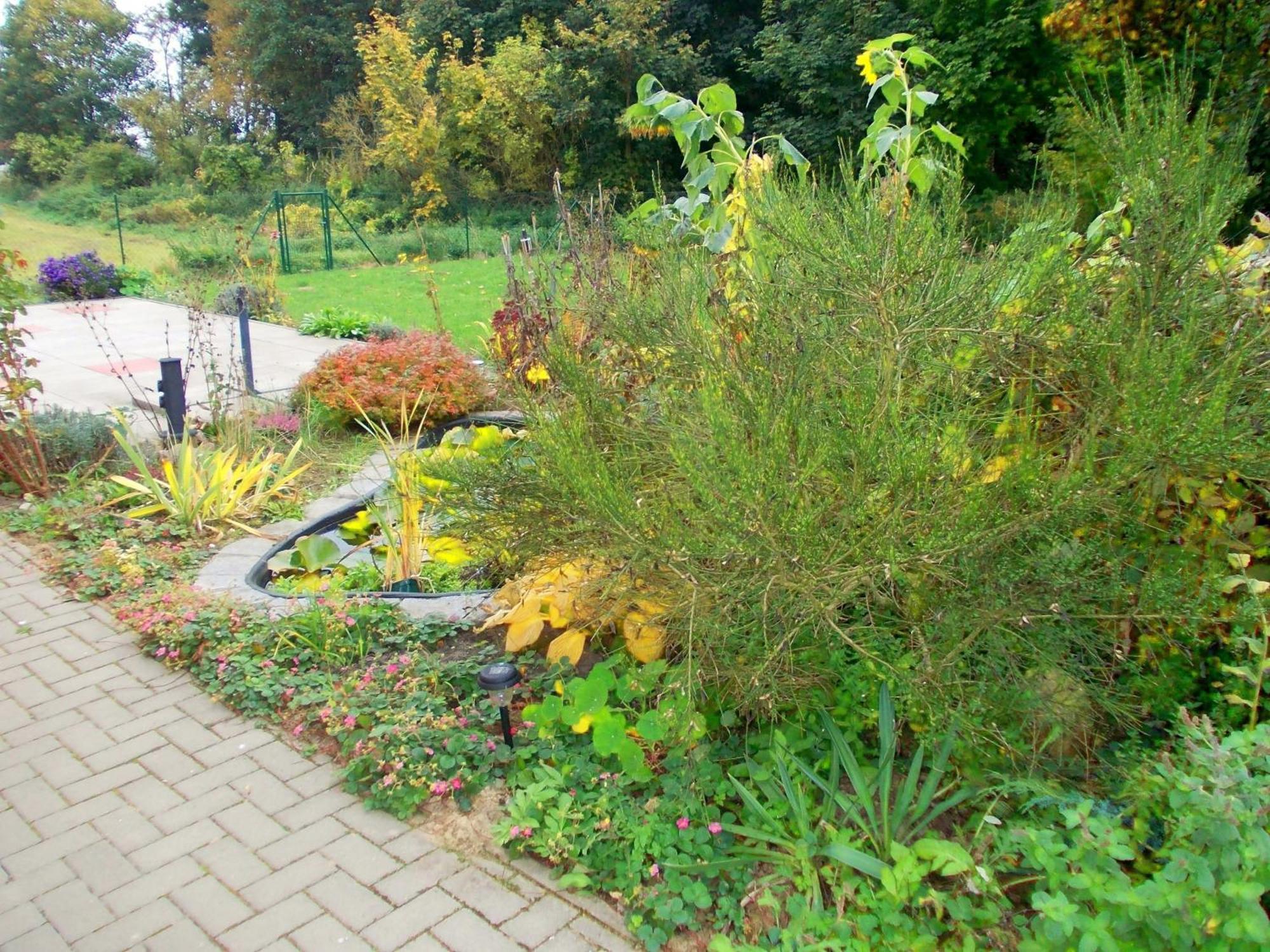 Ferienhaus "Am Wald" Behrenwalde Exterior foto
